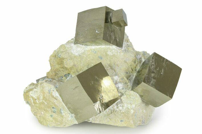 Four Gleaming Pyrite Cubes In Rock - Navajun, Spain #343204